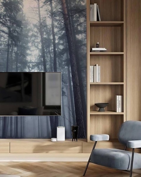 MARBURG | Foggy Forest Art